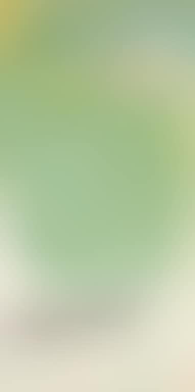 Amphibious Green Pool (preview)