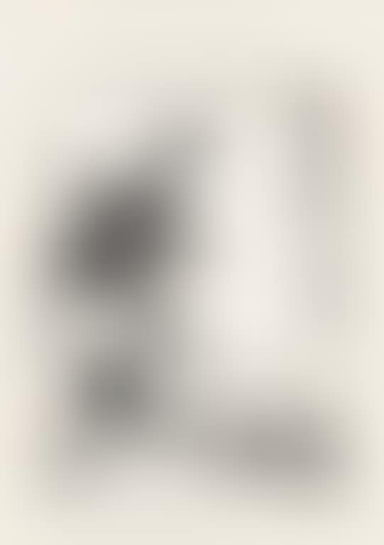 Dog (preview)