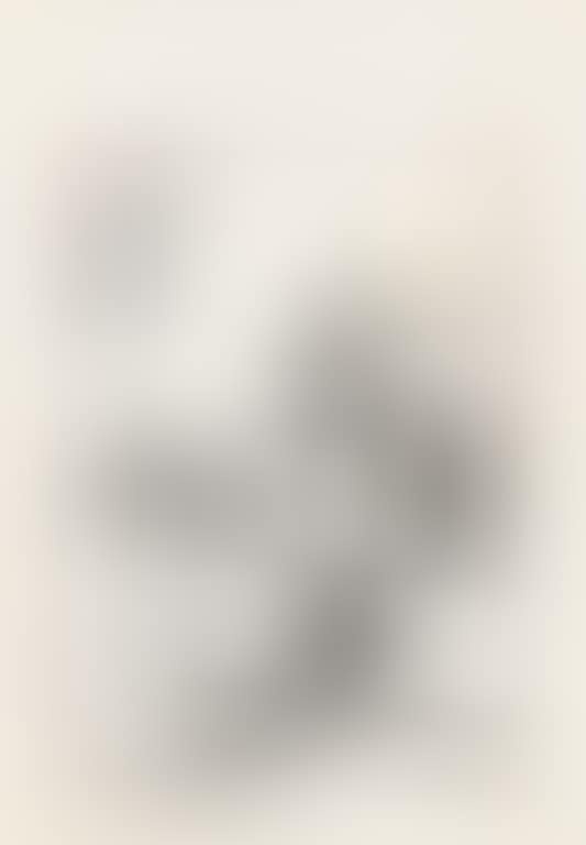 Inspired By Tao Yuanming’s Poem (preview)