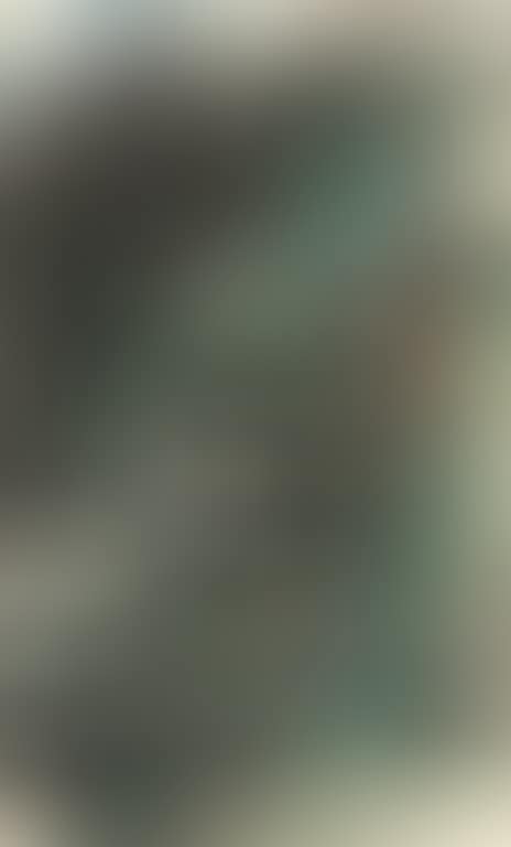 Landscape (preview)
