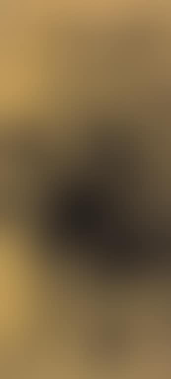 Lotus (preview)