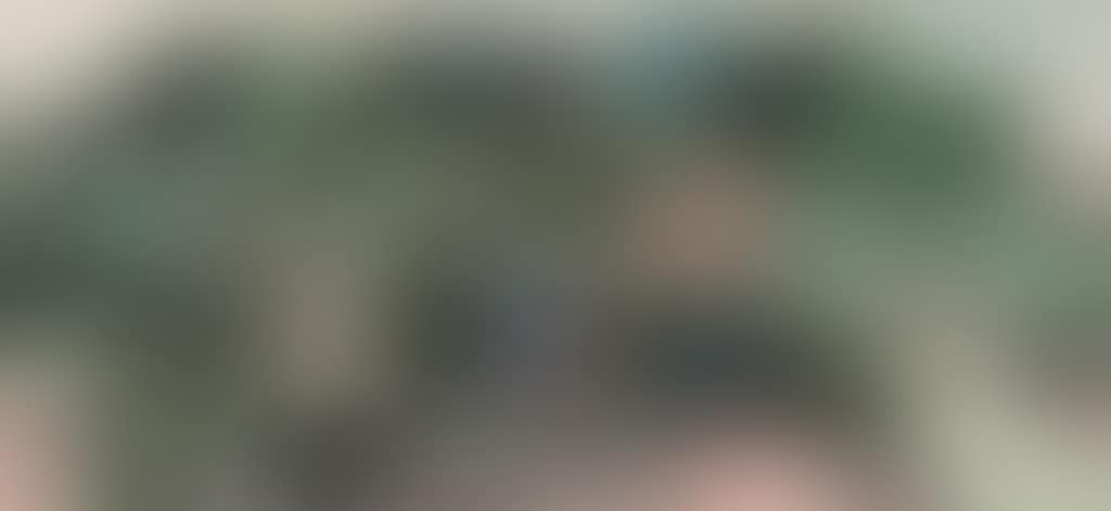 Landscape (preview)