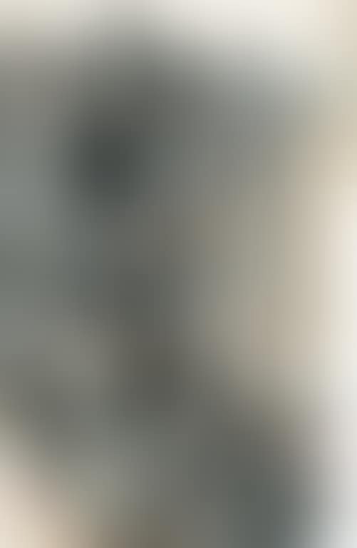 Stone Forest (preview)