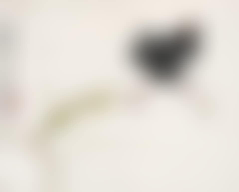 Bamboo Bird (preview)