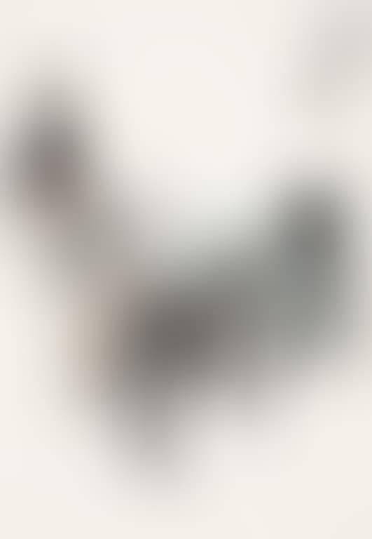 Donkey And Boy (preview)