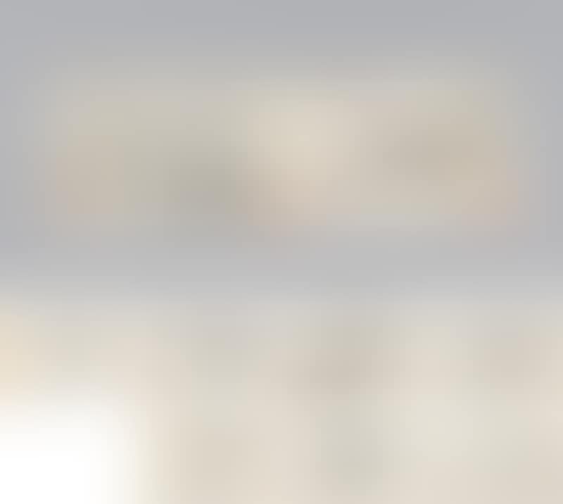 An Album  Of Insects (preview)