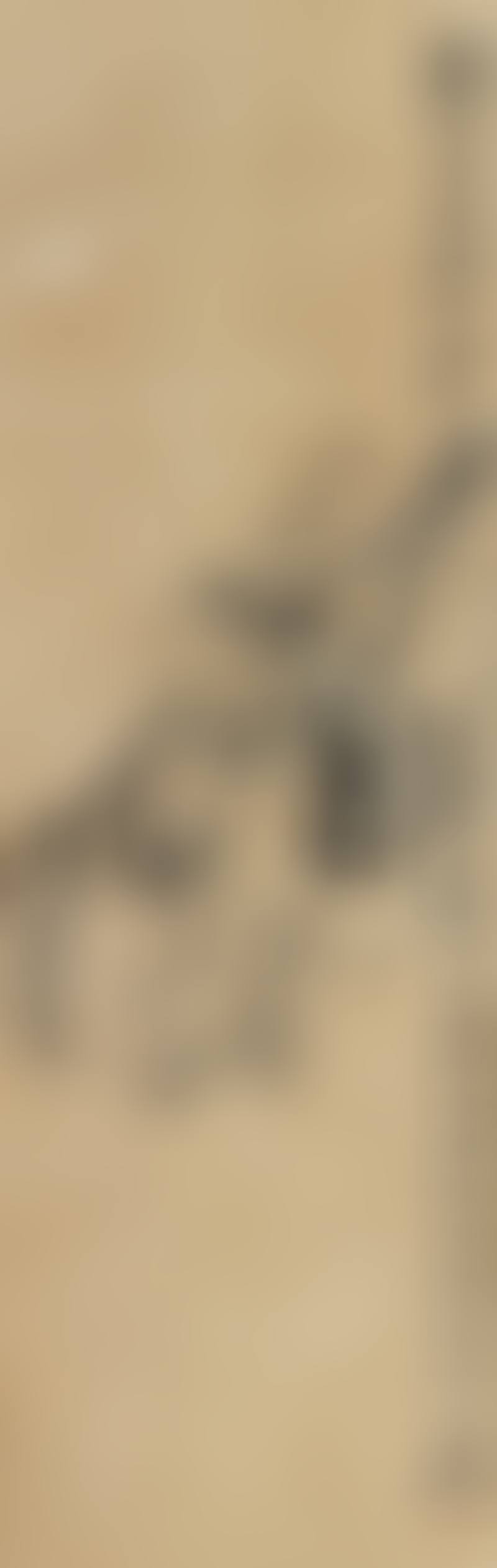 Figure (preview)