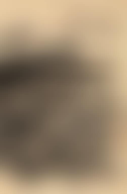 View Of Xiling (preview)