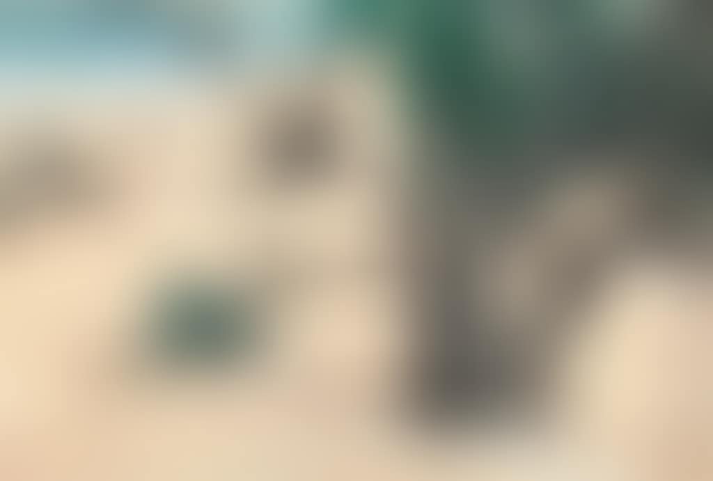 Beach (preview)