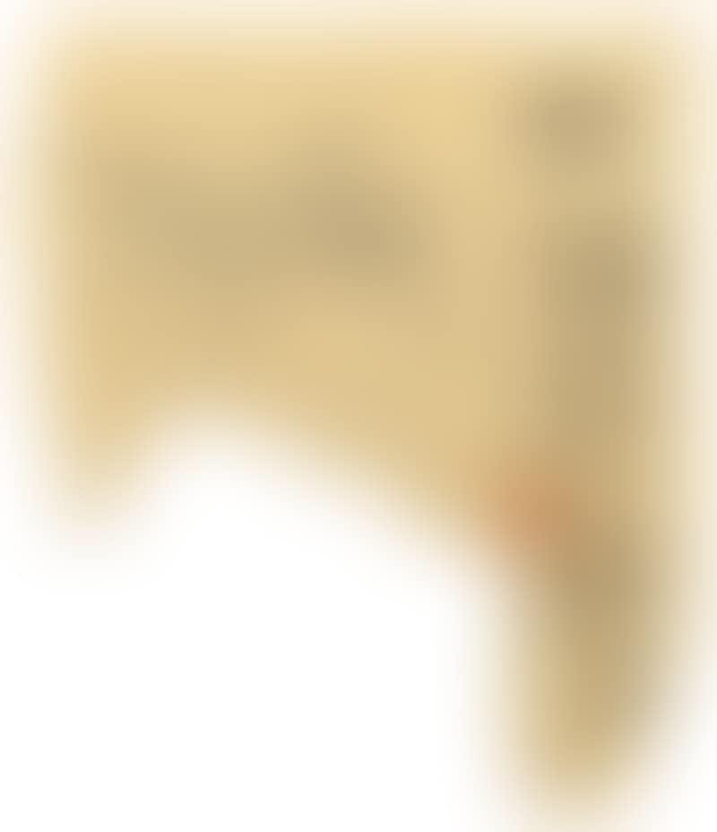 Sketches Of Insects (preview)