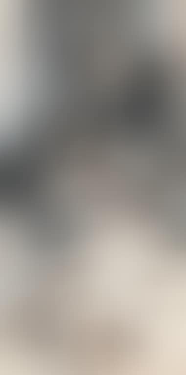Landscape (preview)