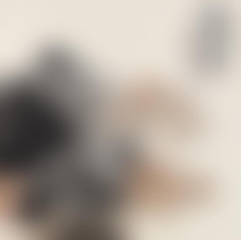 Scent Of Wind (preview)