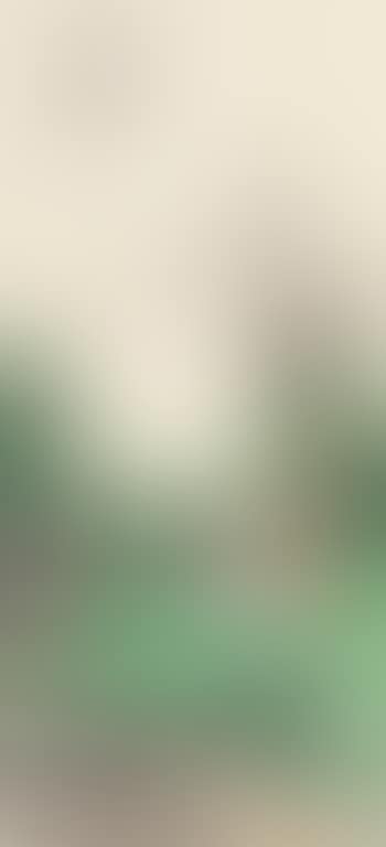 Figure (preview)