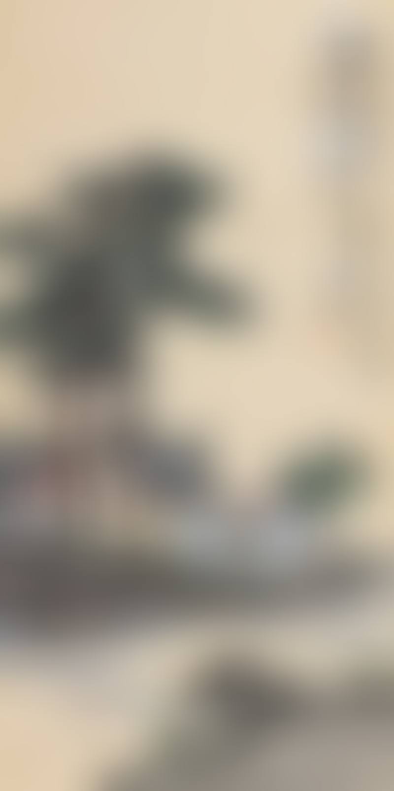 Village (preview)