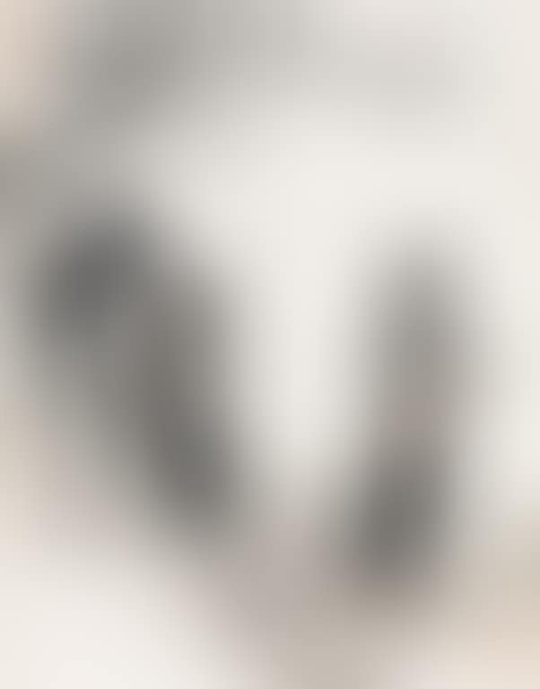 Figure (preview)