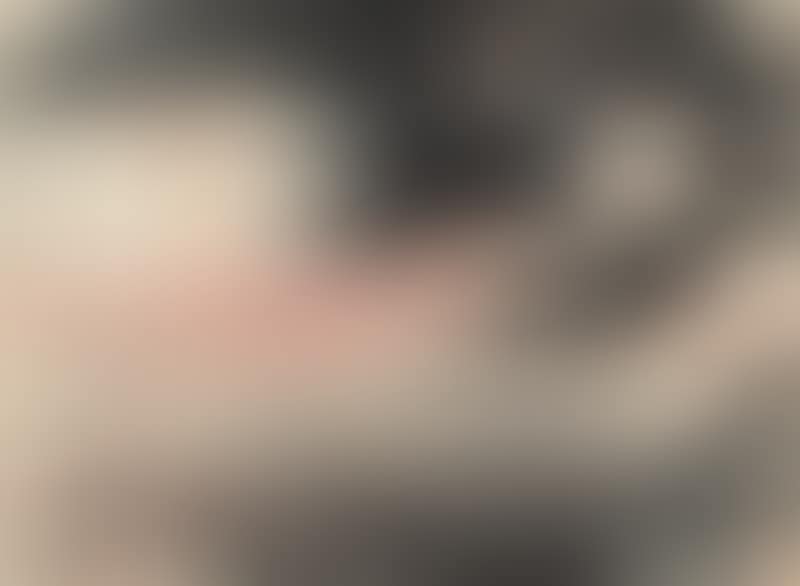 Landscape (preview)