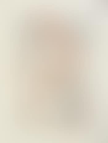 Untitled ,
1970 (preview)