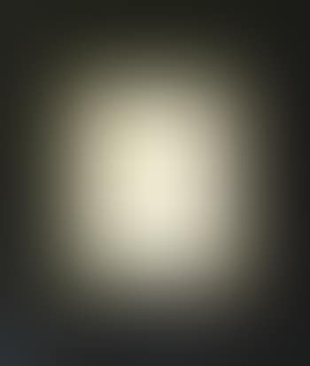 Portraits ,
1954 (preview)