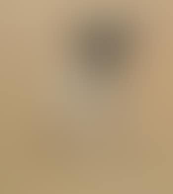 Portrait of a pug , (preview)