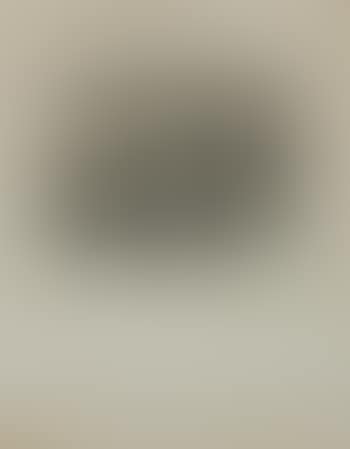 Untitled (Swans) ,
1931 (preview)