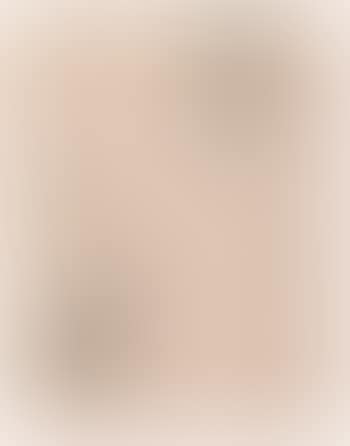 Untitled ,
1961 (preview)