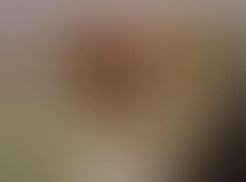Untitled ,
1956 (preview)
