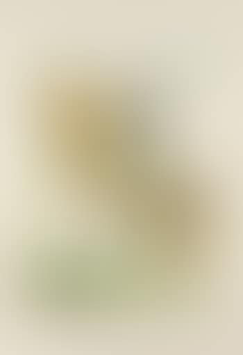 Caballero , (preview)
