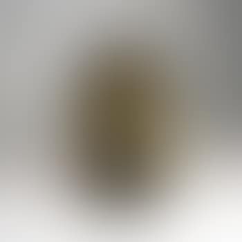 Clématites Soufflé vase ,
1931 (preview)