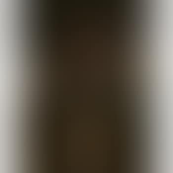 Portrait of a Commanding Officer ,
1667 (preview)