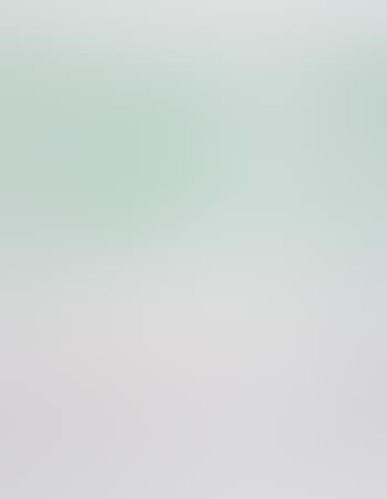Ohne Titel ,
1970 (preview)