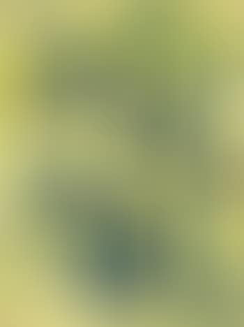 Ohne Titel , (preview)
