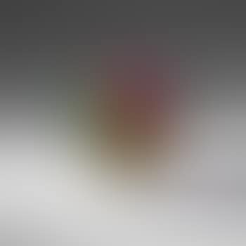 Untitled ,
1974 (preview)