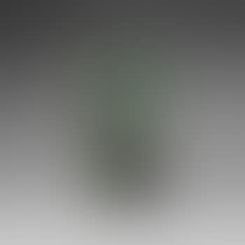 Untitled (Forged bronze) ,
Circa
1970 (preview)