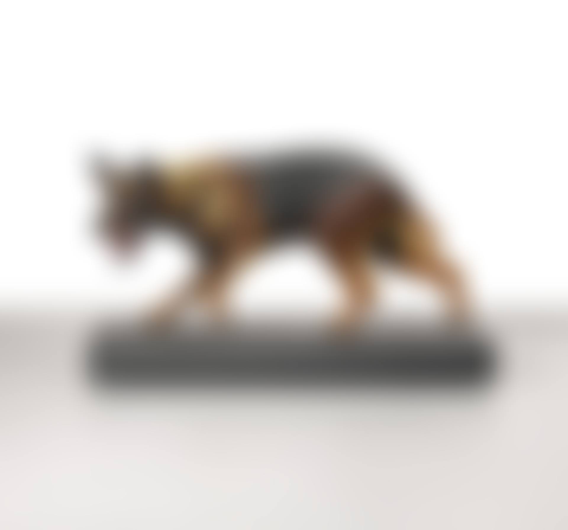 DOG (preview)