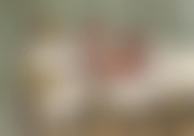 Crabe et coquillages (preview)