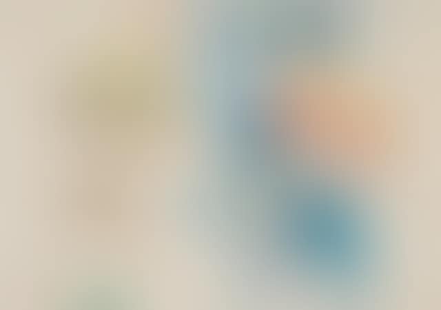 Profils de Hollandaises (preview)