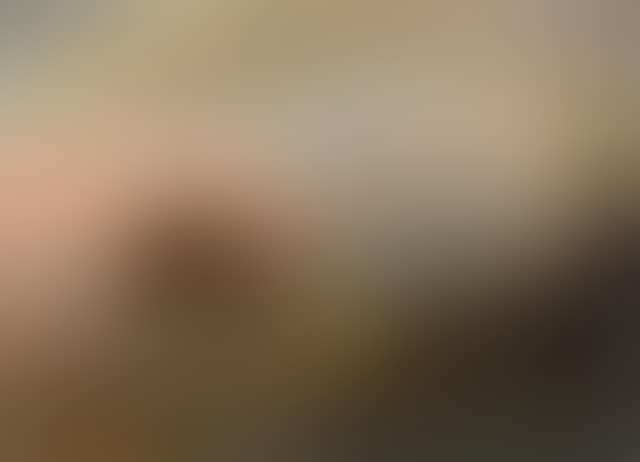 View of Ischia with the Aragonese castle (preview)