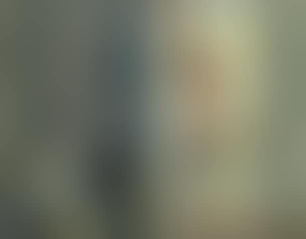 Looking through to a bathroom (preview)
