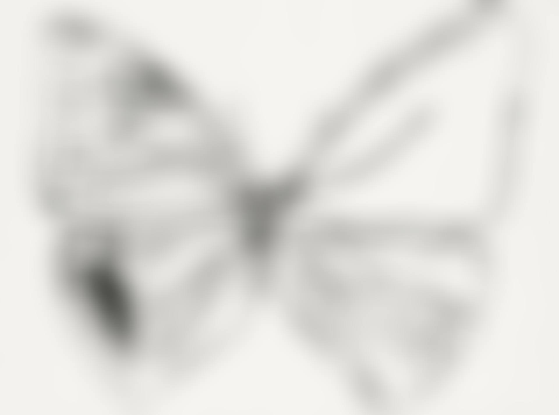 VANISHING ANIMALS, BUTTERFLY  (preview)