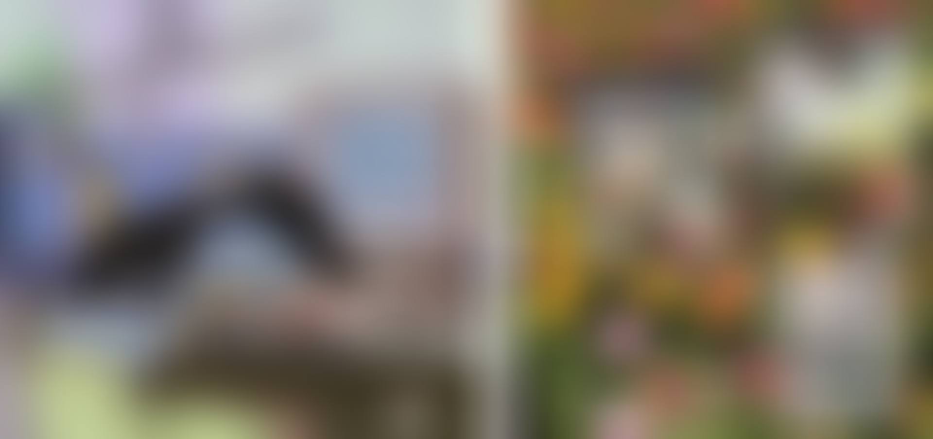 UNTITLED WALLCOVERING 4 & UNTITLED WALLCOVERING 6 (TWO WORKS) (preview)