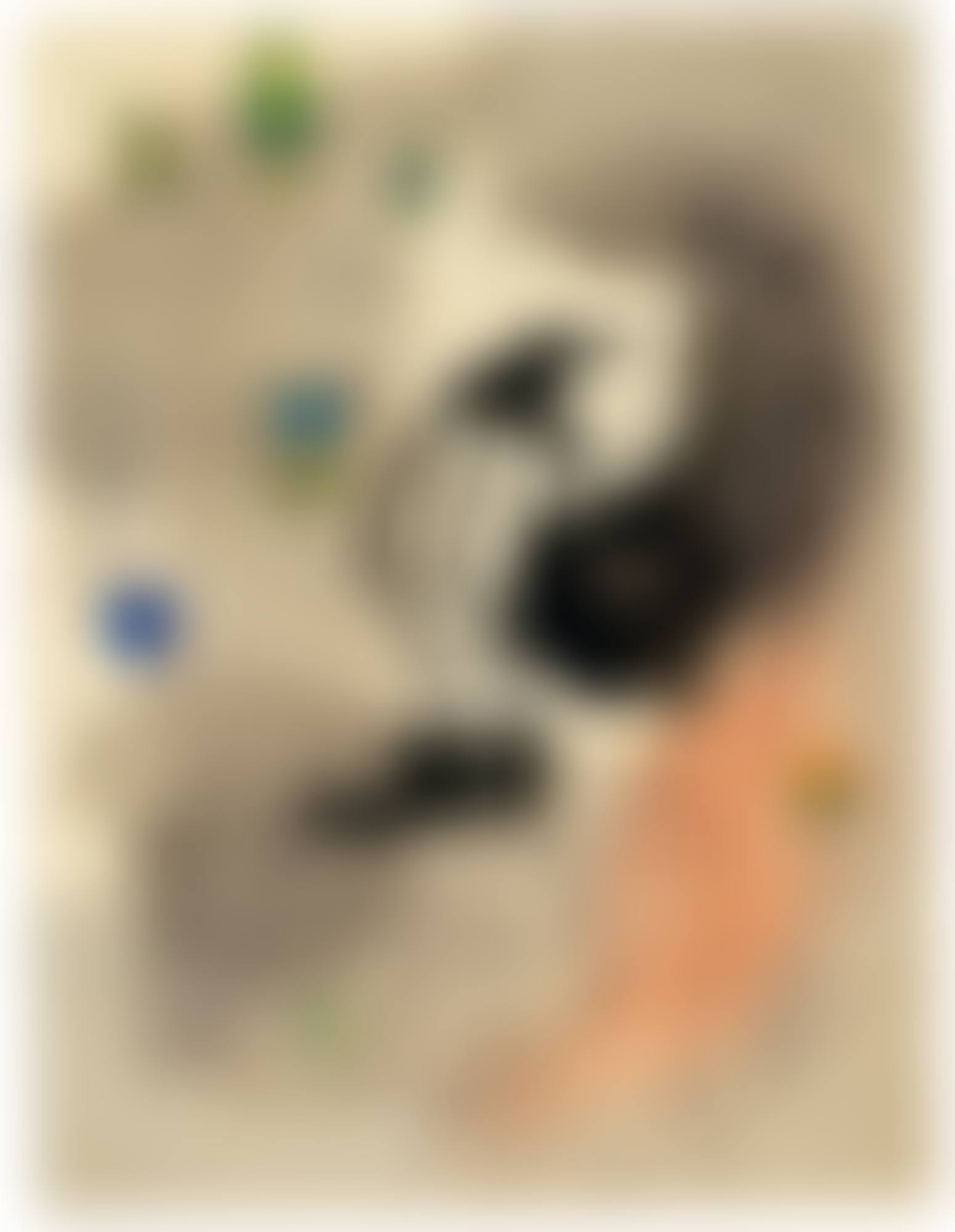 MÉTAMORPHOSE (preview)