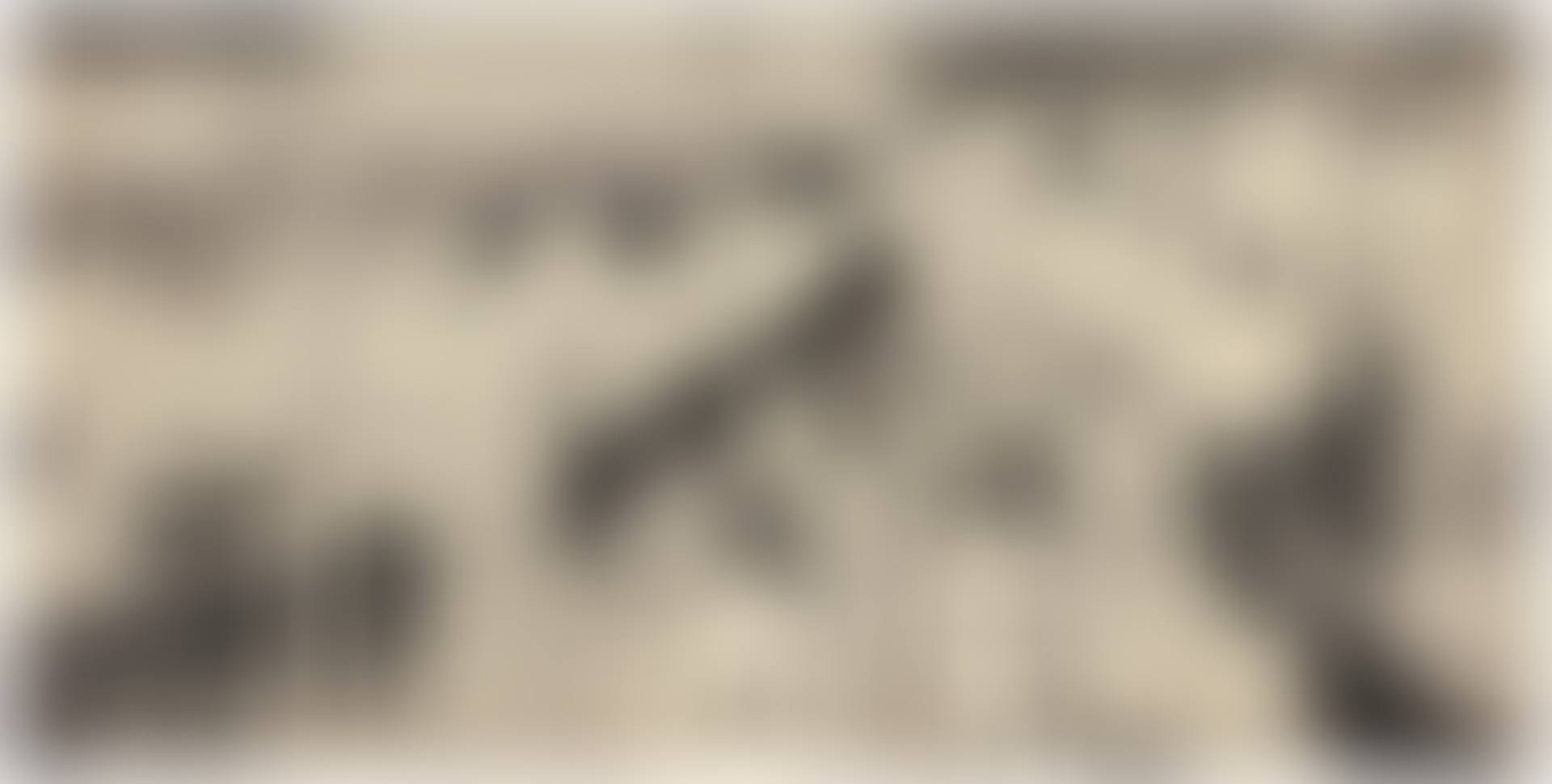 LE BOIS SACRÉ (preview)