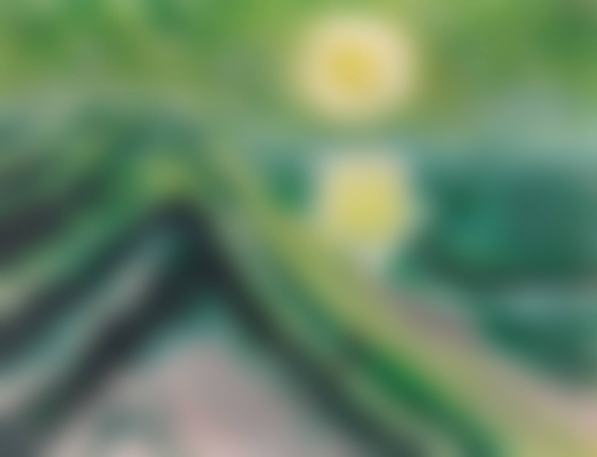 SEENEBEL (SEA MIST) (preview)