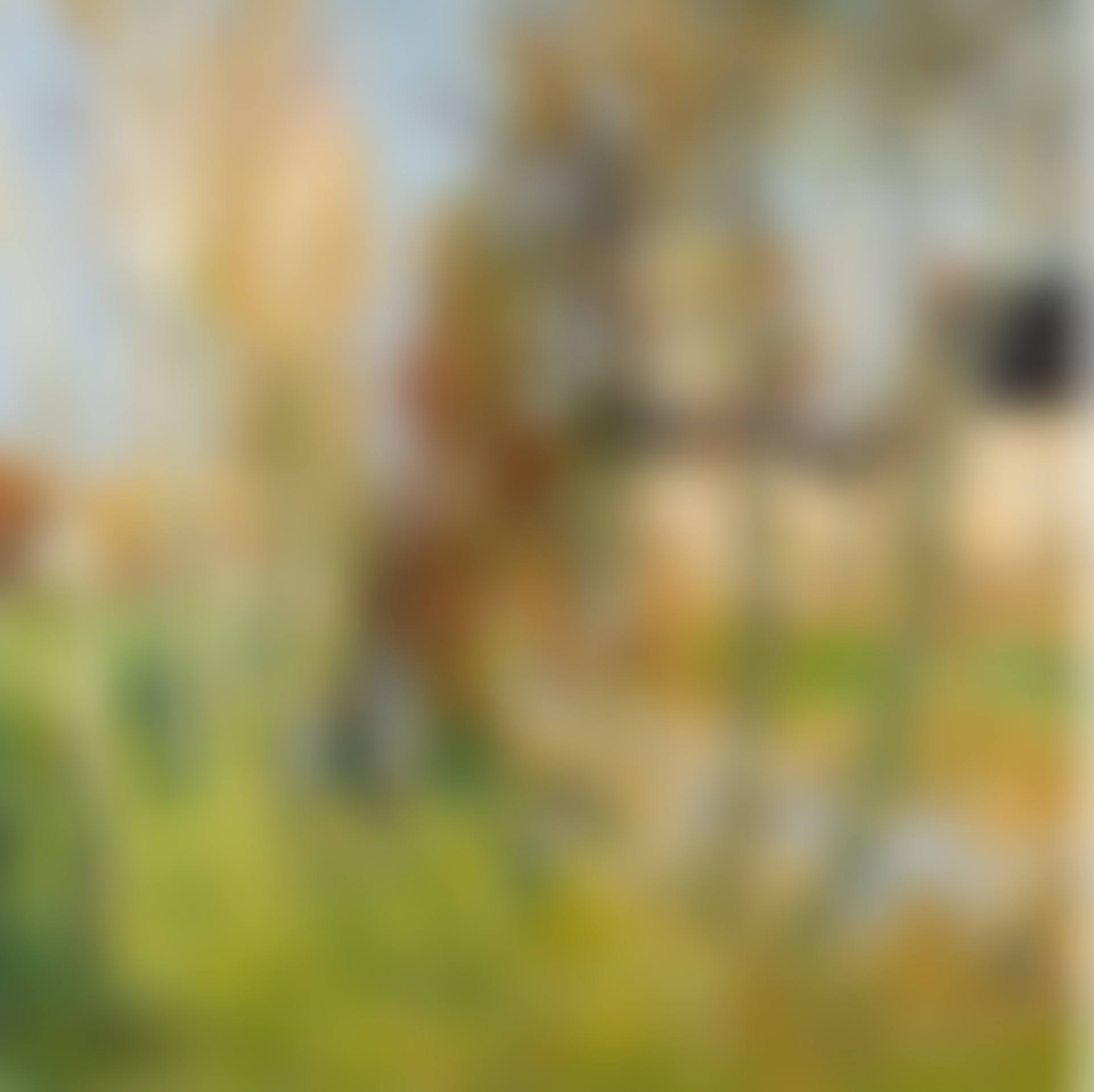 SUR LES BORDS DU RUISSEAU (preview)