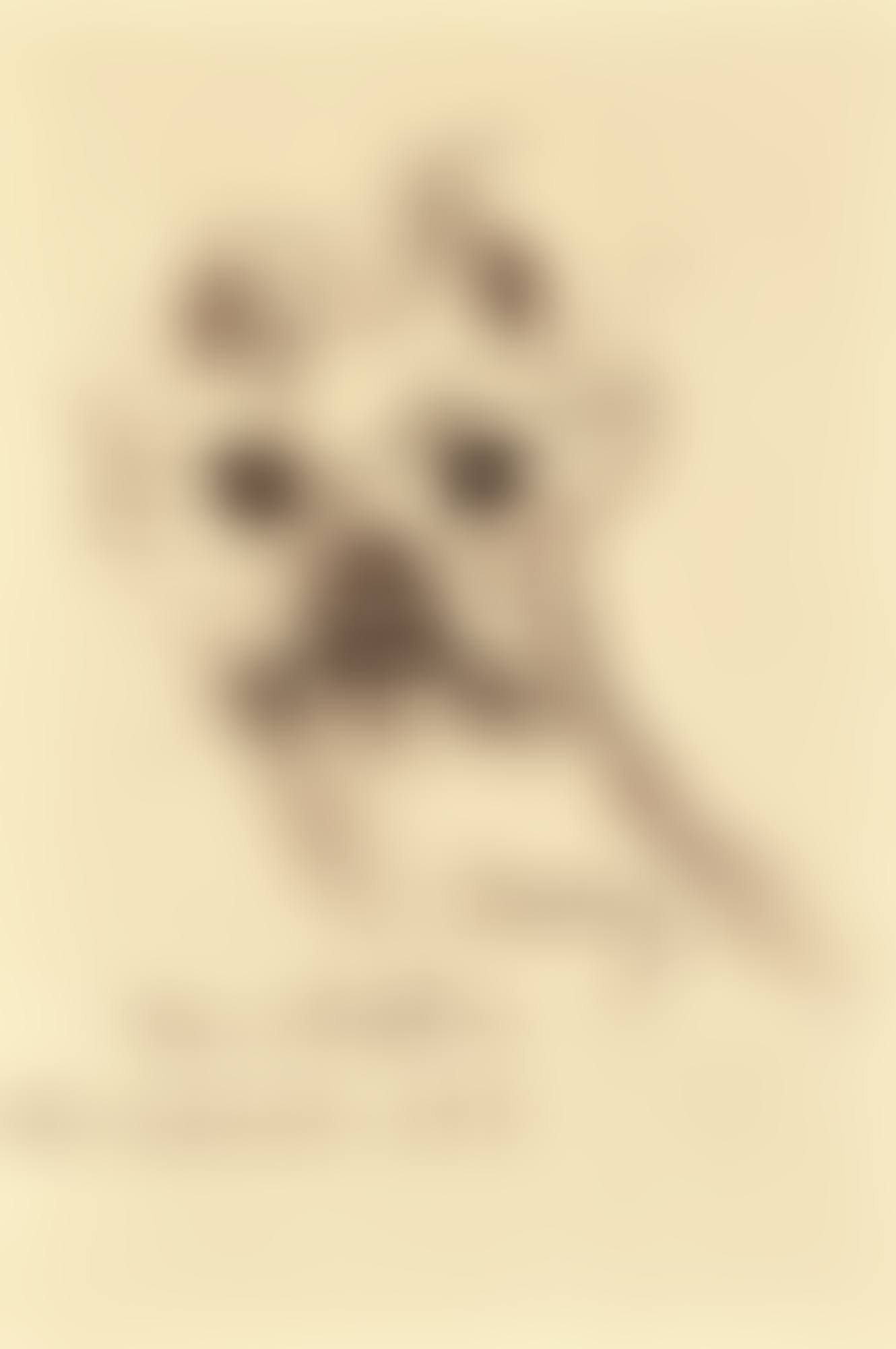 JIMMY (preview)