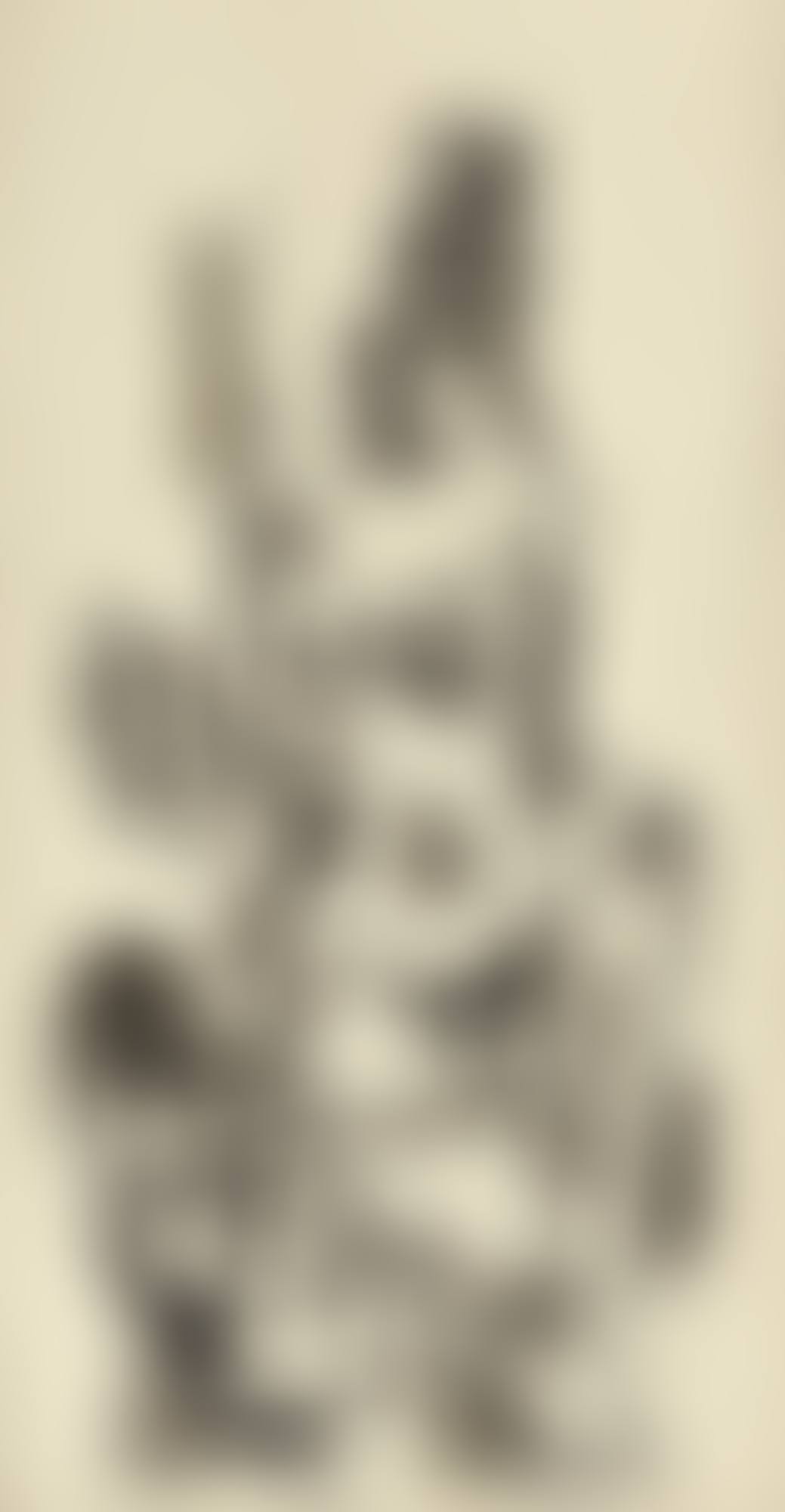 UNTITLED (NAYIKA) (preview)