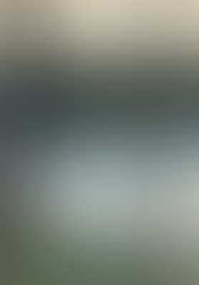 Abendstimmung an einem See im Grunewald (preview)