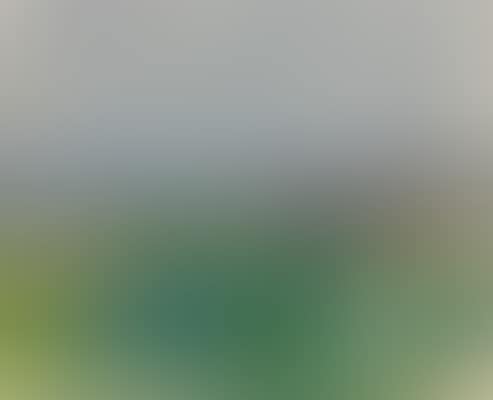 Bord de mer avec paysage (preview)
