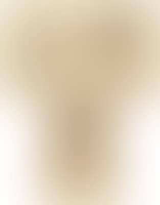 Untitled (Portraits of Husain) (preview)