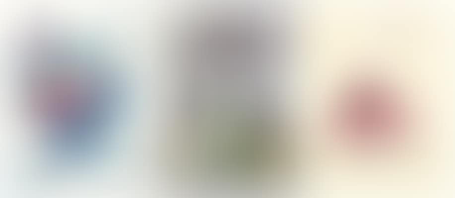 Untitled (Still Life) (preview)